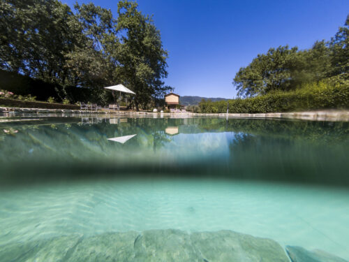 Acqua cristallina nel biolago