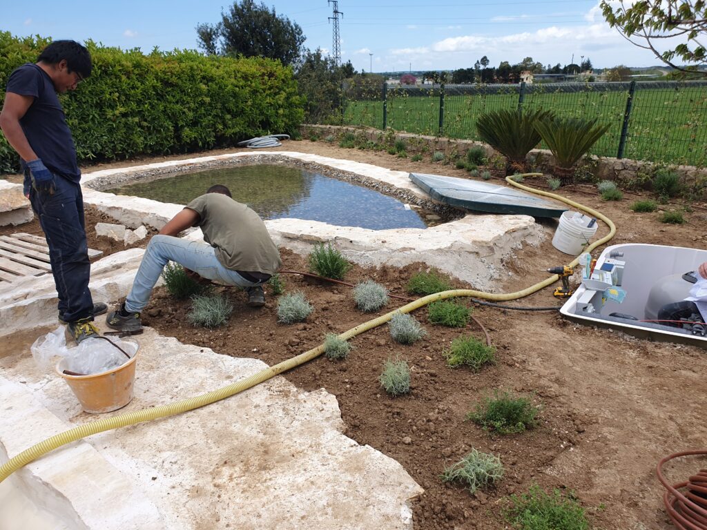 Costruzione giardino e biolago